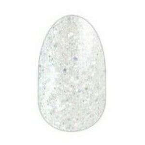 Retired Color Street Home Sleet Home